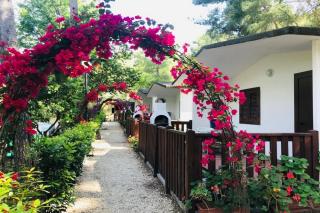 Camping Village Internazionale